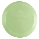 Garyline® Optimum Glow-in-the-Dark Flyer