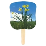 Stock Design Hand Fan-Daffodils, Full Color Digital