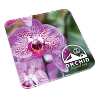 Coaster made with a 1/4" thick sheet of clear acrylic covering... from ASI...