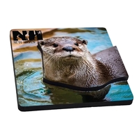 Dual layer magnet on 1/8" thick wood material.... from ASI 72521 Morris...