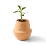 Modern Sprout® Modern Terracotta Grow Kit Bonsai