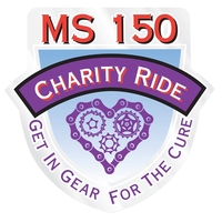 Clear Poly Permanent Adhesive Back Custom Die Cut Decal