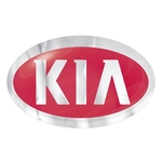 Chrome Poly Perm Adh Oval Domed Decal (1 1/4"x2")