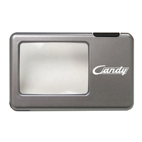 Lighted Magnifier With Pen