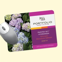 Heavy Duty 6" x 8" x 1/8" - Hard Surface Mouse... from ASI 49716 Digispec &...