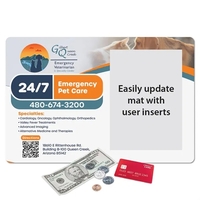 10" x 15" x 1/16" - Heavy Duty Window Counter Mat... from ASI 49716 Digispec...