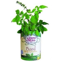 Basil Garden in Eco-Friendly Garden Grocan... from ASI 58295 Groline