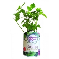 Parsley Garden in Eco-Friendly Grocan