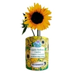 Sunflower Garden in Eco-Friendly Grocan