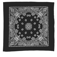 Garyline® 22" Bandana with Stock Paisley Pattern... from ASI 40480 Koozie Group