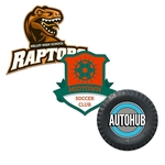 11 Sq Inch Custom Indoor Magnet 20 Mil