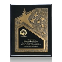 Piano black finished plaque with a gold resin/brass plate.... from ASI 84592...