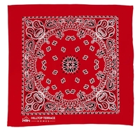 Garyline® 22" Bandana with Stock Paisley Pattern... from ASI 40480 Koozie Group