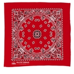 Garyline® 22" Bandana with Stock Paisley Pattern