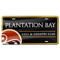 Acrylic License Plate - 12" x 6" - Printed on Metallic With