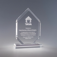 8.75" x 6" x 2" clear acrylic award with multi-dimensional shape... from ASI...