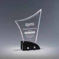 Torrent Clear Acrylic Award