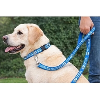 Full-color custom dog collar & leash set with durable webbing and... from ASI...