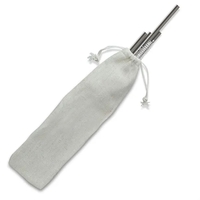 Set of 2 in Silver Straight Stainless Steel Straws