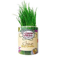 Chive Garden in Eco-Friendly Grocan... from ASI 58295 Groline