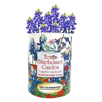 Texas Bluebonnet Garden in Eco-Friendly Grocan... from ASI 58295 Groline