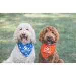 Med - Large Solid Triangle Bandanna - Made in the USA