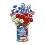 Patriotic Garden in Eco-Friendly Grocan