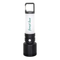 Dream Team 2-in-1 Recycled ABS Plastic Rechargeable Flash...... from ASI...