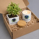 Live Succulent Plant and Candle Desktop Gift Set