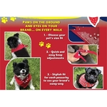 NEW Snap & Go Pet Triangle Medium - Large Sizes - USA Made