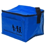 6 Pack Cooler Bag
