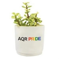 Assorted Succulents in White Pot... from ASI 58295 Groline