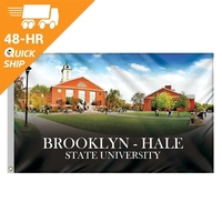 Quickship 3' x 5' Digitally Printed Outdoor Knitted Polyester Single...