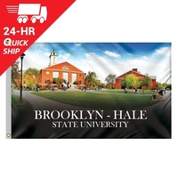 Quickship 3' x 5' Digitally Printed Outdoor Knitted Polyester Single...