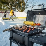 Porta-Chef™ 120 Grill