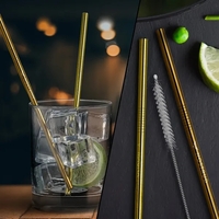 Set of 2 Gold and/or Copper Straight Stainless Steel Straws
