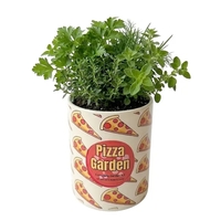Pizza Garden in Eco-Friendly Grocan