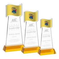 The Flag Award features a striking flag-shaped cutout at the top,... from ASI...