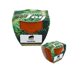 Mini Terracotta Grow Kit