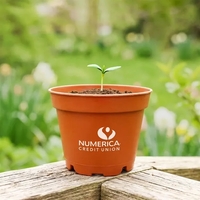 Terra Cotta planter kit featuring a polypropylene planter with seeds, soil......