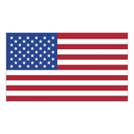 White Vinyl U.S. Flag Removable Adhesive Decal (2 1/4"x4")
