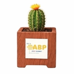 Assorted Cactus in Wood Ceramic Pot