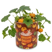 Fall Garden in Eco-friendly Grocan