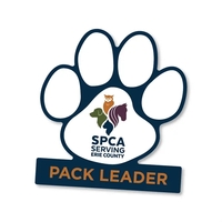 5" Paw Shape Decal w/ Footer