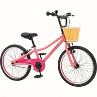 Durable and stylish 20" kids' bike with custom logo-perfect for...