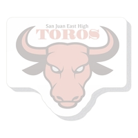 4 1/4" x 5 1/4" Die Cut Adhesive Notes