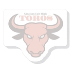 4 1/4" x 5 1/4" Die Cut Adhesive Notes