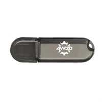High style that's affordable, our Glendale Black Translucent Oval USB...