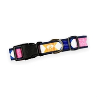 1" Sublimated Pet Collar with Gold-Colored Hardware