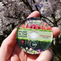 Replica CD / Compact Disc Acrylic Magnet... from ASI 72521 Morris Magnets /...